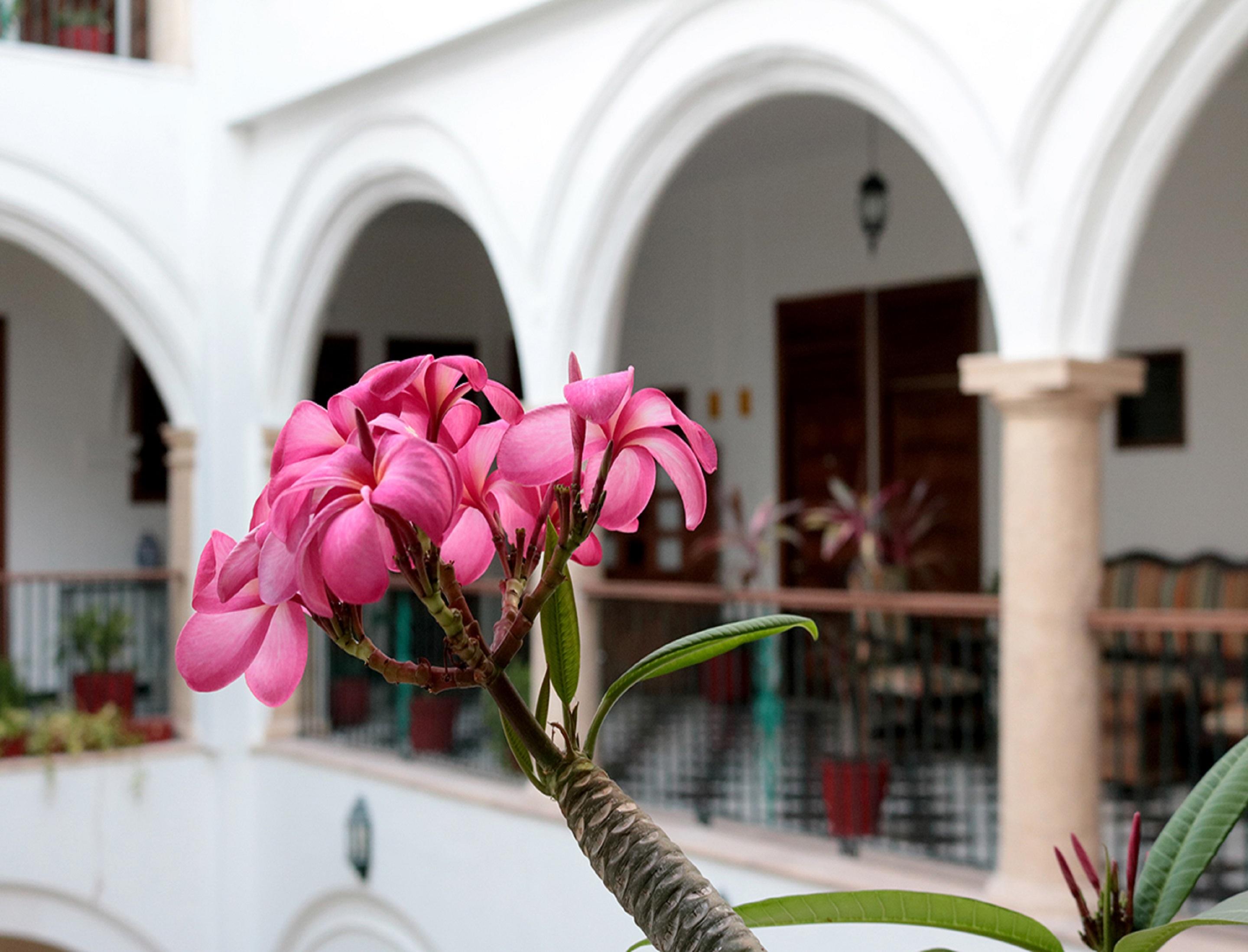 Hotel Mision Campeche America Exterior foto